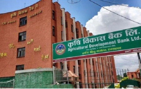 फाइल